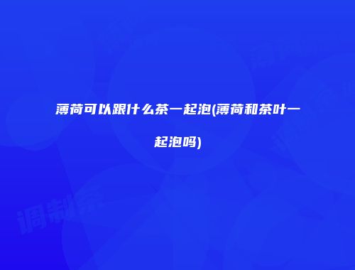 薄荷可以跟什么茶一起泡(薄荷和茶叶一起泡吗)