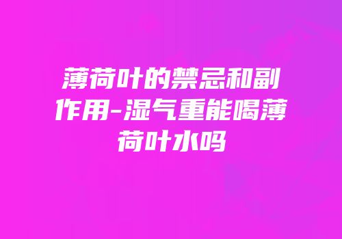 薄荷叶的禁忌和副作用-湿气重能喝薄荷叶水吗
