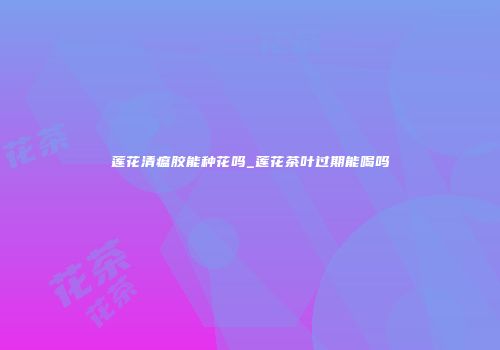 莲花清瘟胶能种花吗_莲花茶叶过期能喝吗