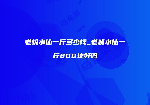老枞水仙一斤多少钱_老枞水仙一斤800块好吗