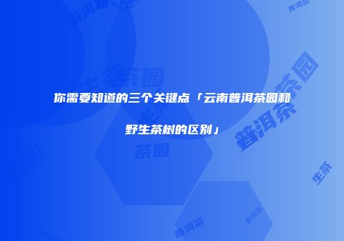 你需要知道的三个关键点「云南普洱茶园和野生茶树的区别」