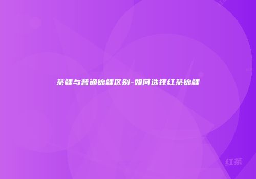 茶鲤与普通锦鲤区别-如何选择红茶锦鲤