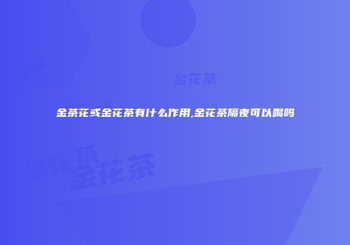 金茶花或金花茶有什么作用,金花茶隔夜可以喝吗