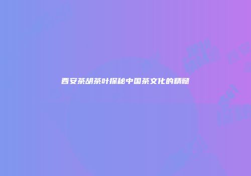西安茶胡茶叶探秘中国茶文化的精髓