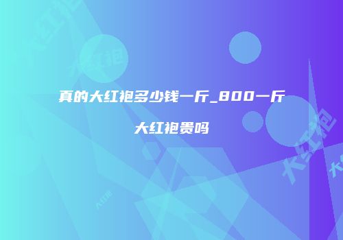 真的大红袍多少钱一斤_800一斤大红袍贵吗