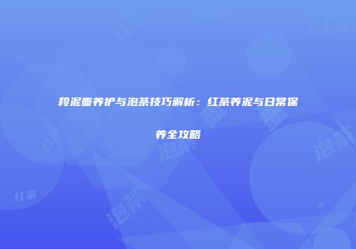 段泥壶养护与泡茶技巧解析：红茶养泥与日常保养全攻略