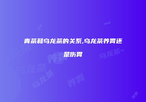 青茶和乌龙茶的关系,乌龙茶养胃还是伤胃