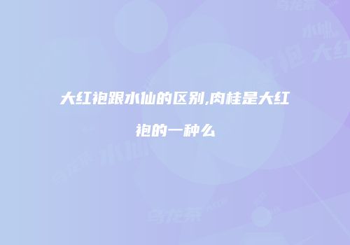 大红袍跟水仙的区别,肉桂是大红袍的一种么