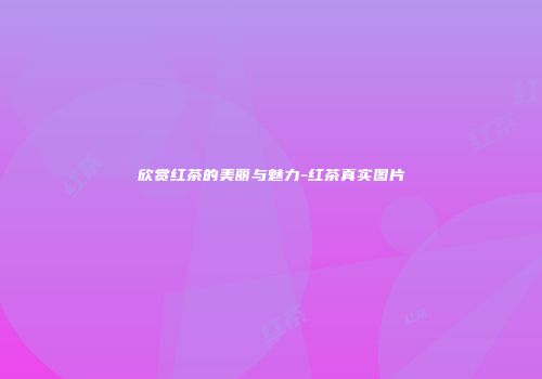 欣赏红茶的美丽与魅力-红茶真实图片