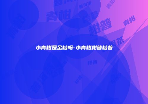 小青柑是金桔吗-小青柑柑普桔普