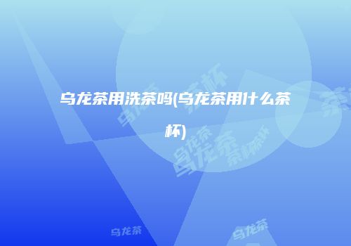 乌龙茶用洗茶吗(乌龙茶用什么茶杯)
