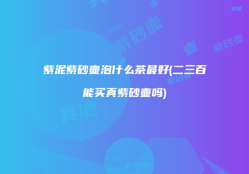 紫泥紫砂壶泡什么茶最好(二三百能买真紫砂壶吗)