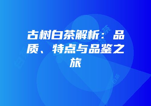 古树白茶解析：品质、特点与品鉴之旅