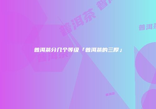 普洱茶分几个等级「普洱茶的三厚」