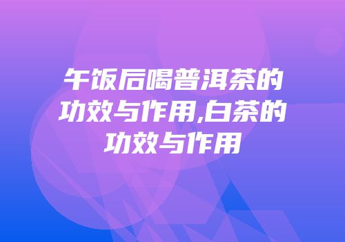 午饭后喝普洱茶的功效与作用,白茶的功效与作用
