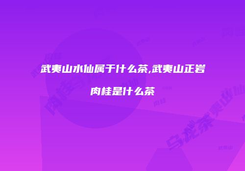 武夷山水仙属于什么茶,武夷山正岩肉桂是什么茶