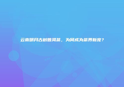 云南明月古树普洱茶，为何成为茶界新宠？
