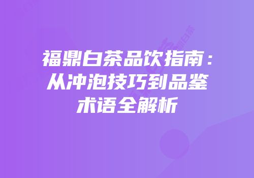 福鼎白茶品饮指南：从冲泡技巧到品鉴术语全解析