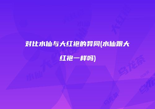 对比水仙与大红袍的异同(水仙跟大红袍一样吗)