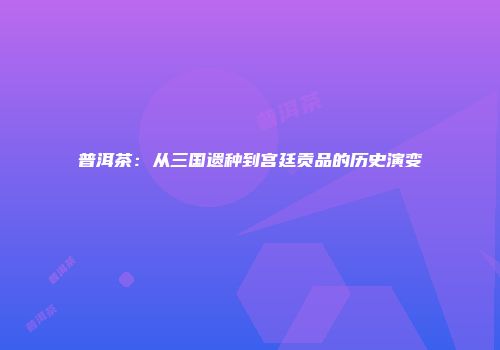 普洱茶：从三国遗种到宫廷贡品的历史演变