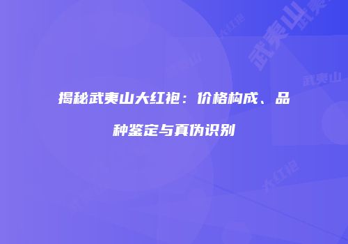 揭秘武夷山大红袍：价格构成、品种鉴定与真伪识别