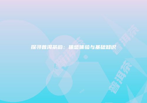 探寻普洱茶韵：体感体验与基础知识