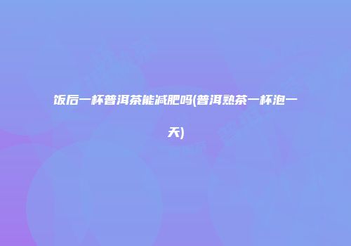 饭后一杯普洱茶能减肥吗(普洱熟茶一杯泡一天)