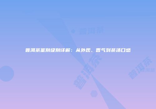 普洱茶鉴别级别详解：从外观、香气到茶汤口感