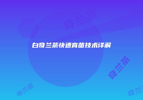 白奇兰茶快速育苗技术详解