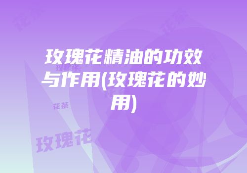 玫瑰花精油的功效与作用(玫瑰花的妙用)
