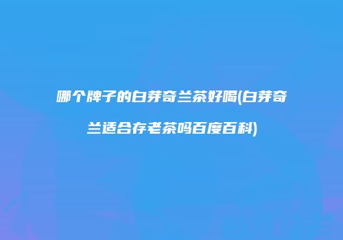 哪个牌子的白芽奇兰茶好喝(白芽奇兰适合存老茶吗百度百科)