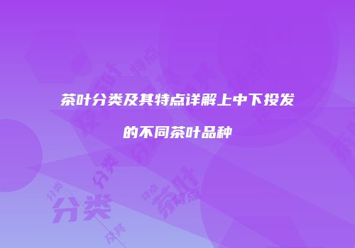 茶叶分类及其特点详解上中下投发的不同茶叶品种