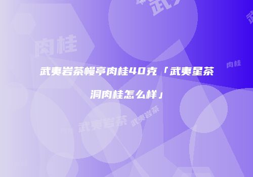 武夷岩茶幔亭肉桂40克「武夷星茶洞肉桂怎么样」