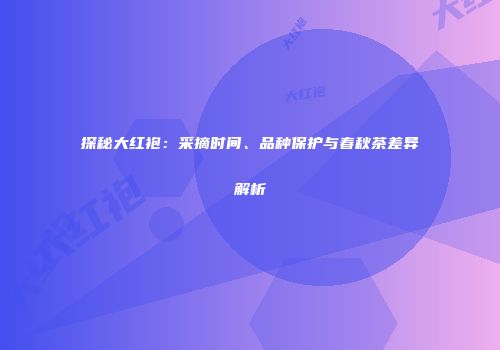 探秘大红袍：采摘时间、品种保护与春秋茶差异解析