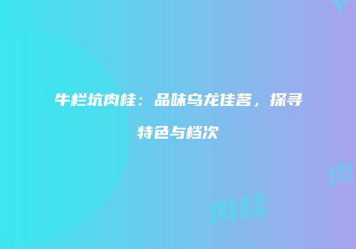 牛栏坑肉桂：品味乌龙佳茗，探寻特色与档次