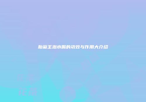 胎菊王泡水喝的功效与作用大介绍