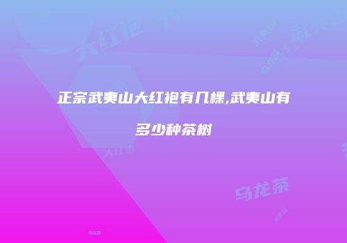 正宗武夷山大红袍有几棵,武夷山有多少种茶树