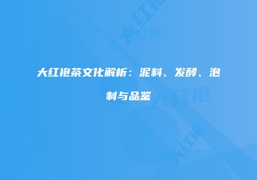 大红袍茶文化解析：泥料、发酵、泡制与品鉴
