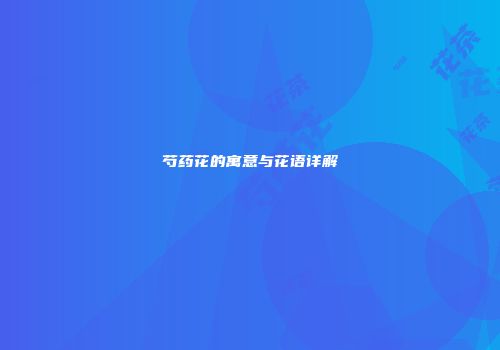 芍药花的寓意与花语详解