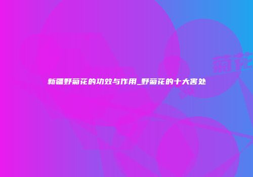 新疆野菊花的功效与作用_野菊花的十大害处