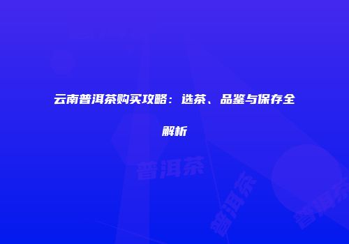 云南普洱茶购买攻略：选茶、品鉴与保存全解析