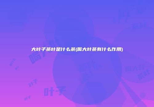大叶子茶叶是什么茶(喝大叶茶有什么作用)