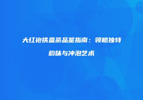 大红袍铁盒茶品鉴指南：领略独特韵味与冲泡艺术