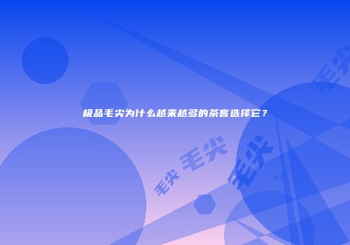 极品毛尖为什么越来越多的茶客选择它？