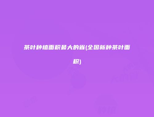 茶叶种植面积最大的省(全国新种茶叶面积)