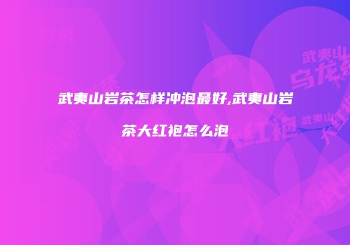 武夷山岩茶怎样冲泡最好,武夷山岩茶大红袍怎么泡