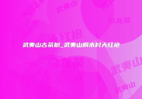 武夷山古茶树_武夷山桐木村大红袍