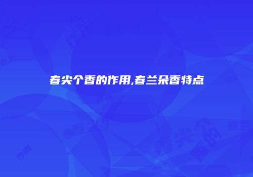 春尖个香的作用,春兰朵香特点