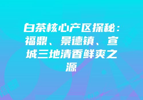 白茶核心产区探秘：福鼎、景德镇、宣城三地清香鲜爽之源
