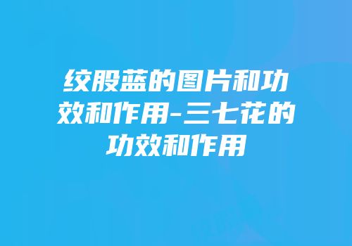 绞股蓝的图片和功效和作用-三七花的功效和作用